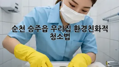 순천 승주읍 우리집 환경친화적 청소법