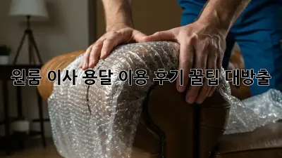 원룸 이사, 용달 이용 후기: 꿀팁 대방출!