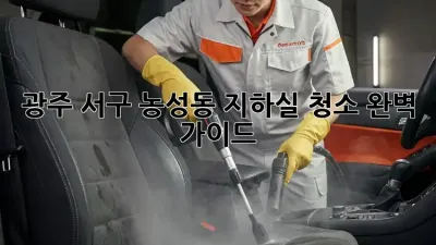 광주 서구 농성동 지하실 청소, 완벽 가이드!